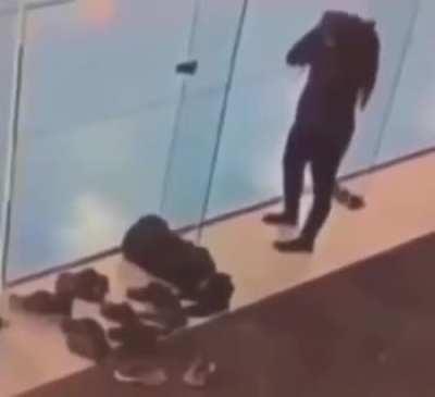 a bird woke me up today doing this at my window