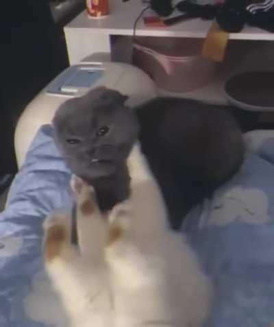 Not the best tactical position