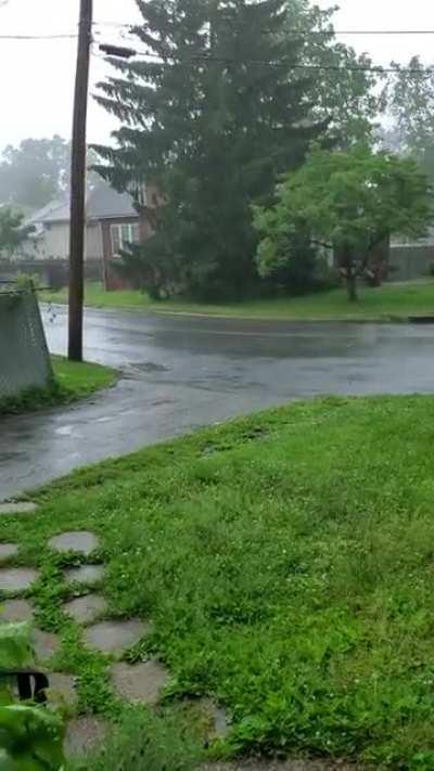 Hell of a storm in New Jersey today. Plus some deer for you