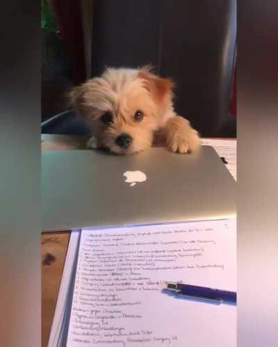 And just like that your work day is done