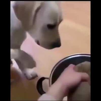 Just making hot dogs