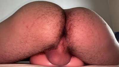 i really need some assistance here! a good piggy bro up to sniff my manhole [25]