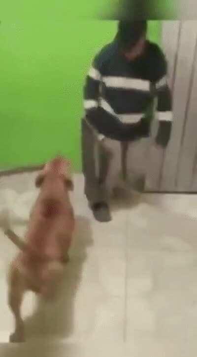 – Ваш пёс кусается? – Нет, но у него есть мачете!