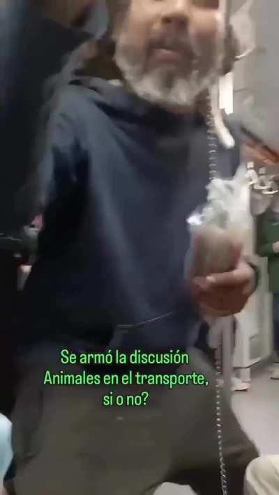 Una mujer quiso bajar a un gato del subte y el acompañante del felino se le plantó