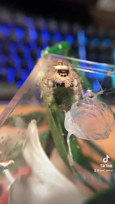 Here are some encouraging words from little Maromi💕