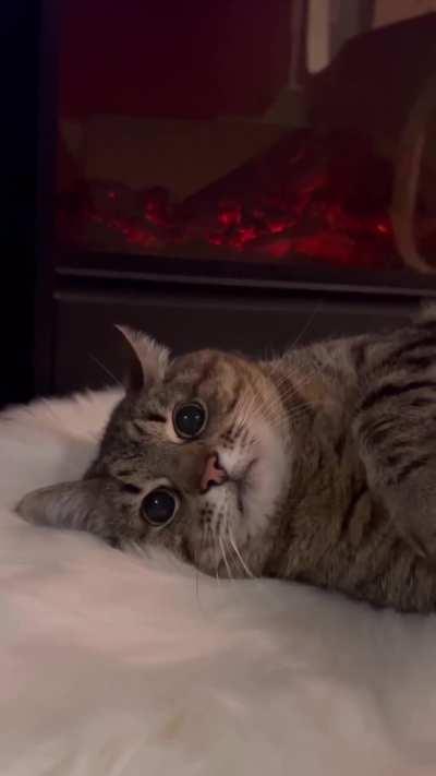 Does the sound mean that C@ is working hard?