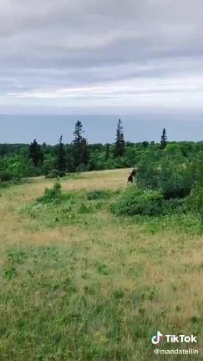 Does anyone know what the song is?