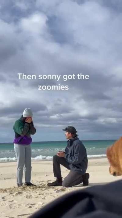 Wholesome main character