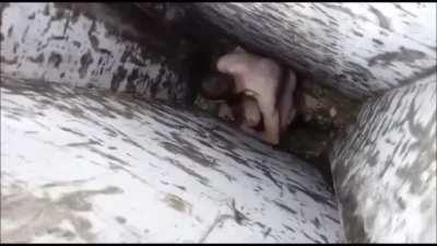 Как строился твой дом