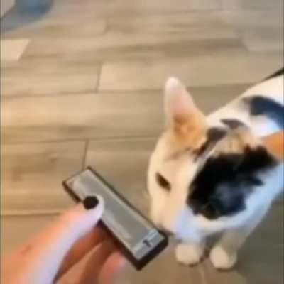 This little guy learned a song and he he wants to sing it to you:)