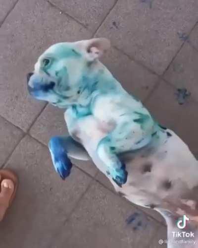 Tira a poha da música e imagina cê chegar em casa e vê isso