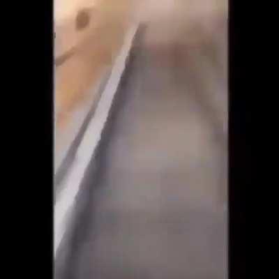 Putamare ta cerrado pe