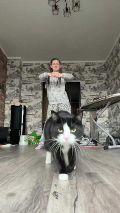 And we also have a cool one 🐈‍⬛