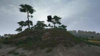 my favorite roadkill so far