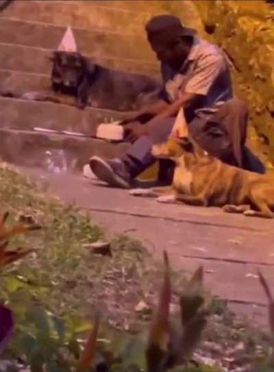 Homen comemorando aniversario com os cachorros