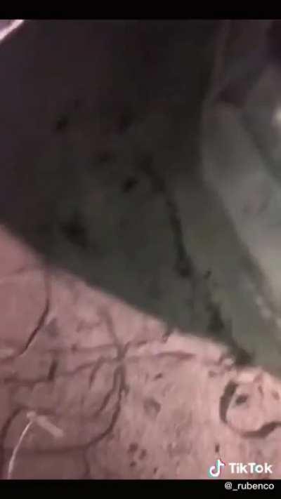 HMC while I prove we don’t need men for anything