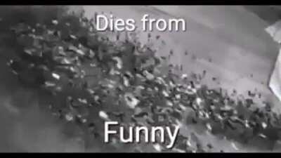 Countryhuman fans laughing at their own memes