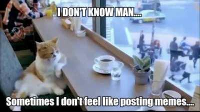 Sometimes I just don't