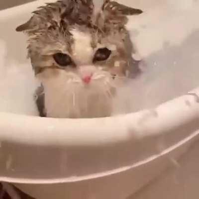 It is a bath time 💦💦💦