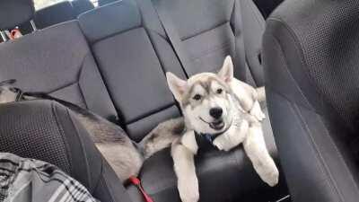 Every car trip......