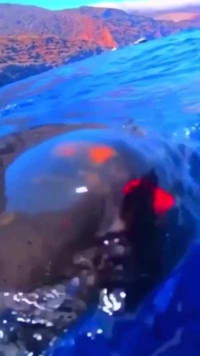 That escalated quickly