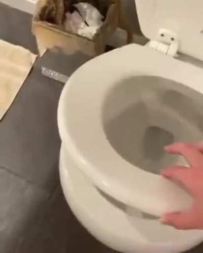 Thanks I hate having the $hit scared out of me.