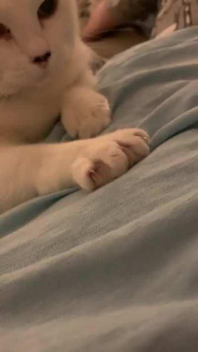 Kneady murder mittens