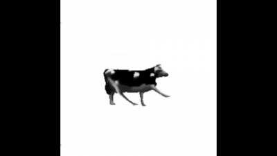 Doja Cow