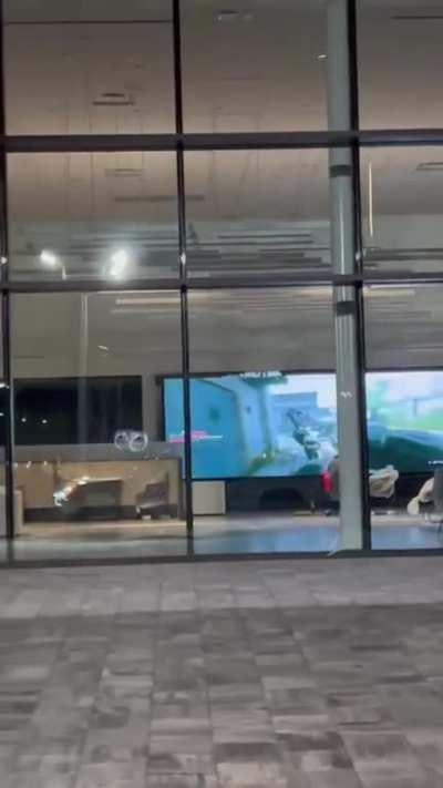 The best job in the world, a security guard in a car dealership