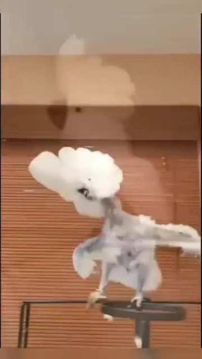 Best sad to happy transformation ever!