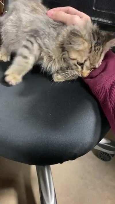 Uploaded with sound! Enjoy.