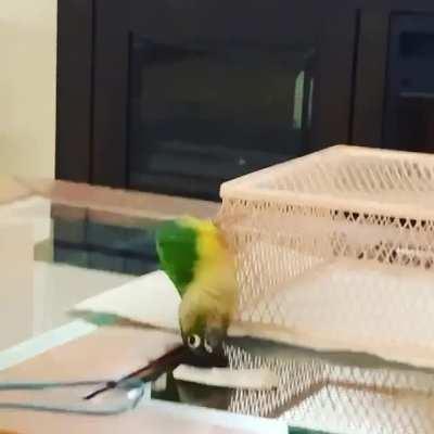 Partying upside down