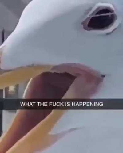 AAAAAA AAAAA AAAAAAAAA AAAAAAA AAAAAAAAA AAAAAA AAAAAAAAAAAAAA AAAAAAAAAA