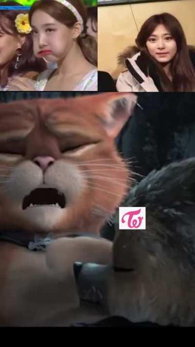 TWICE soothes the soul