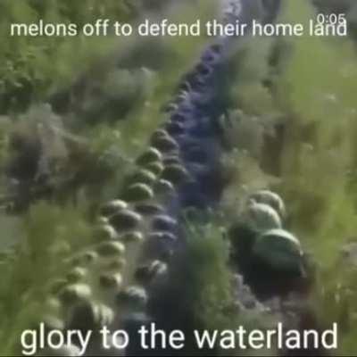 german marching song, I'm pretty sure I downloaded the video from here but I can't find it