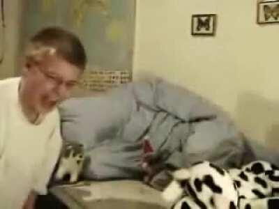 Anomalys German cousin