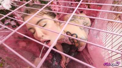 Cock GIF by sarastarxxx