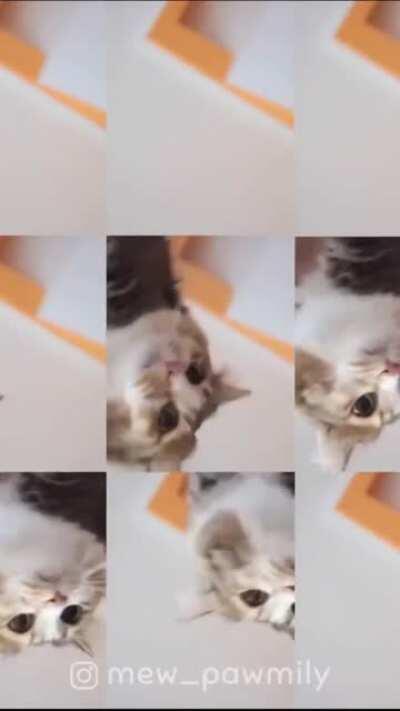 Reminder that the internet wasn't a mistake...