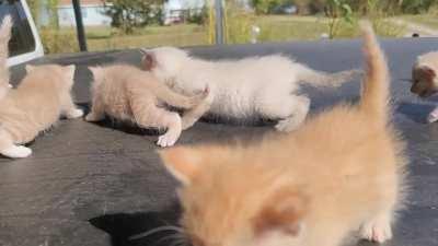 Sound on for the full experience.