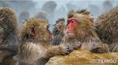 Christmas!?!!, ON A FUNKE MONKE FRIDAY!!!