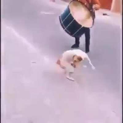 Perro trompo 😎👌