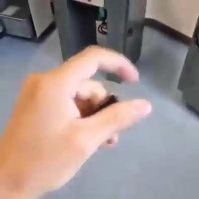 Chronus The Hand that Ascends Time