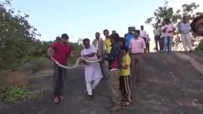 Python Attacks Man Trying to Take a Selfie.............