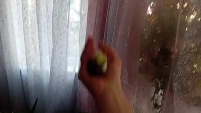 Hours later still playing it 😀