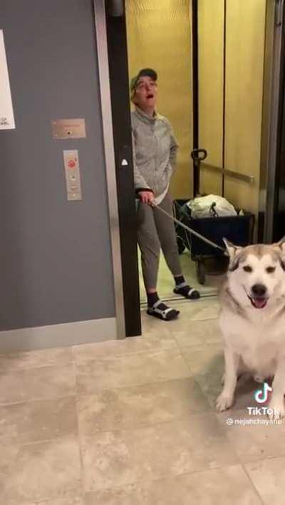 This lady needs some help. She spent all this time and energy blocking this black woman from using the elevator, Insisting that she use the stairs. Update from her on the next post, thankfully she handled it well.