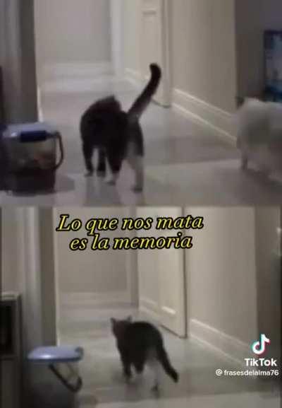 Lo que nos mata es la memoria