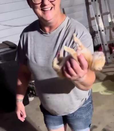 Little kitten acts dead when caught.