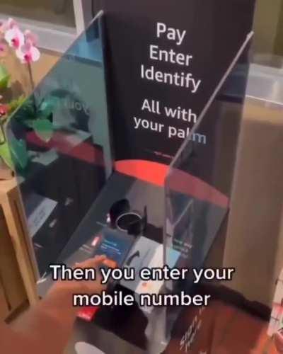 Amazon Roll out pay with your Palm Technology