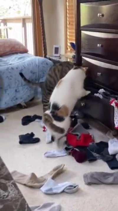 The Sock Market is crashing.