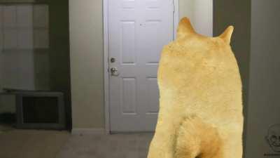 Just Gonna Leave This Here.